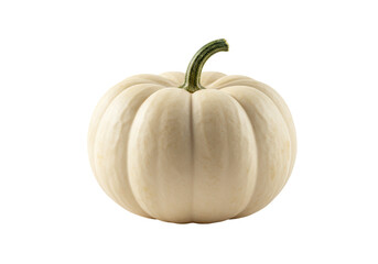Isolated Small White Pumpkin, Close-up and Detailed View