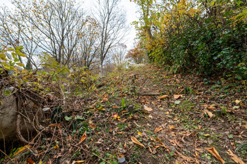 Historic old road &ldquo;Salt Road&rdquo; which is also a long distance hiking course and its surroundings