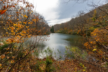 Historic old road &ldquo;Salt Road&rdquo; which is also a long distance hiking course and its surroundings