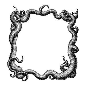 Square Frame Decoration Made of Mutated Tentacles Black and White Outline Line Art Drawing