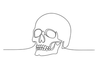 Continuous One Line Human Skull | Minimalist Anatomy Vector Illustration