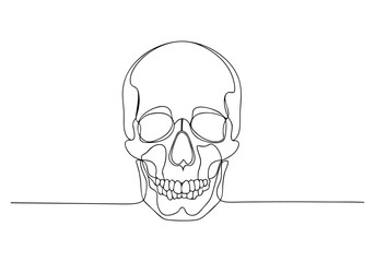 Continuous One Line Human Skull | Minimalist Anatomy Vector Illustration