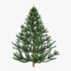 Illustration 3D Render Conifer Tree 150cm Xmas Decor