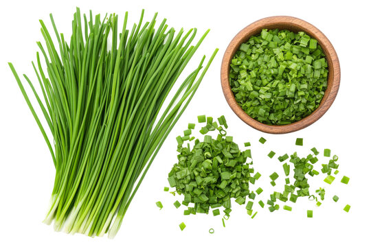 Fresh chives on transparent background png green herbs for cooking white space culinary use natural ingredients