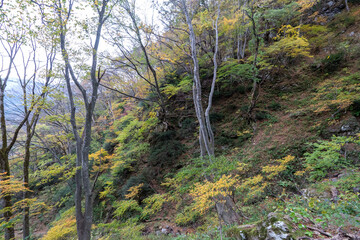Historic old road “Salt Road” which is also a long distance hiking course and its surroundings
