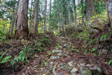 Historic old road “Salt Road” which is also a long distance hiking course and its surroundings