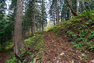 Historic old road “Salt Road” which is also a long distance hiking course and its surroundings