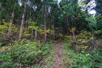 Fototapeta premium Historic old road “Salt Road” which is also a long distance hiking course and its surroundings