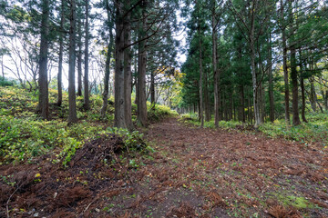 Historic old road “Salt Road” which is also a long distance hiking course and its surroundings