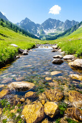 Crystal Creek Flows Through Mountain Valley