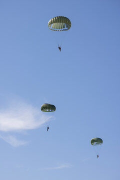 Yearly event Market Garden paradroppings in september at Ginkel heath in Ede The Netherlands