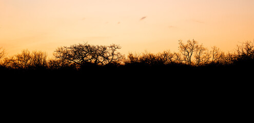 Naklejka premium Landschaftsbild - Sonnenuntergang im Krüger National Park - Kruger Nationalpark Südafrika