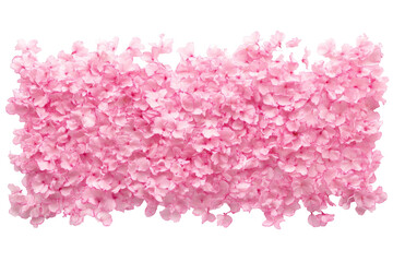 Obraz premium Vibrant pink flower petals digital png art transparent background for creative design soft aesthetic floral concept