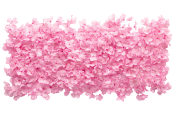 Vibrant pink flower petals digital png art transparent background for creative design soft aesthetic floral concept