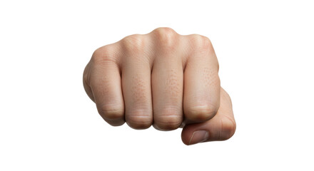 Isolated Fist
