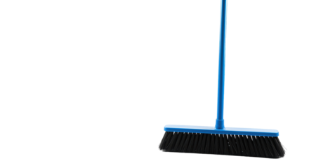 Isolated Blue Broom