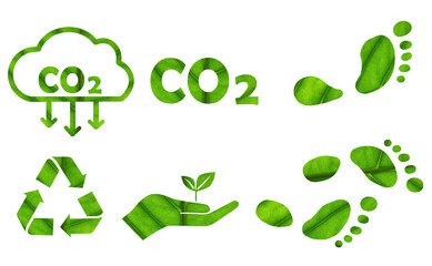 leaf texture green ecology and environment icon symbols png