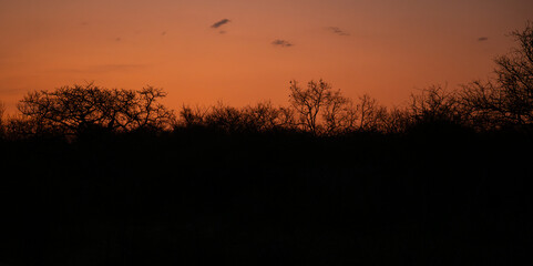 Landschaftsbild - Sonnenuntergang im Krüger National Park - Kruger Nationalpark Südafrika