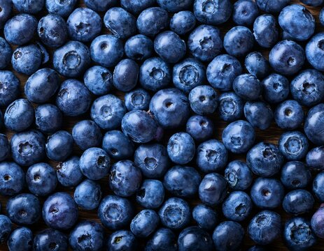 blueberry background full frame image view of fresh blueberries from above top view