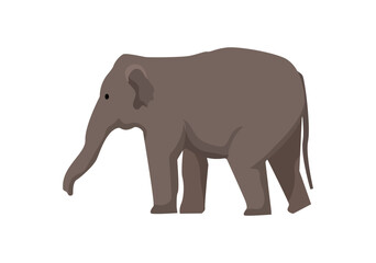 Fototapeta premium Elephant Graphic