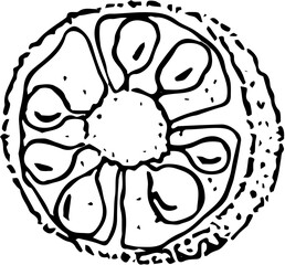 Fruit. Hand drawn vector isolated sketch. jackfruit