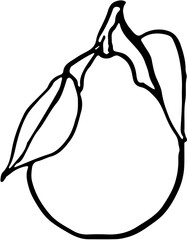 Fruit. Hand drawn vector isolated sketch. Minneola