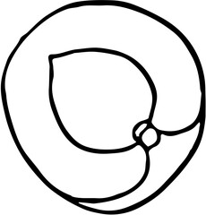 Fruit. Hand drawn vector isolated sketch. Nectarine 