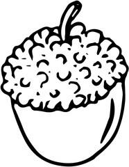 Fruit. Hand drawn vector isolated sketch. Lychee