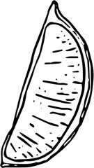 Fruit. Hand drawn vector isolated sketch. Lemon