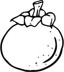 Fruit. Hand drawn vector isolated sketch. Mangosteen