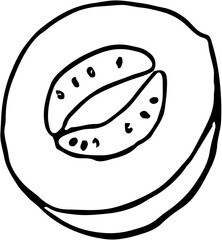 Fruit. Hand drawn vector isolated sketch. Muskmelon 