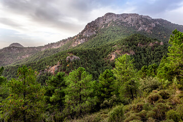 Naklejka premium Sierra de Alcaraz