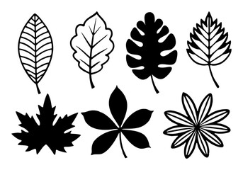 set of autumn leaves