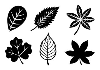 set of leaves