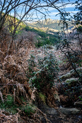 Pedriza Posterior tras la maleza