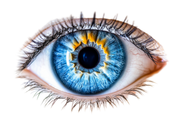 Eye close-up on transparency background stunning png of blue iris with white spaces detailed focus artistic concept