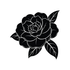 Obraz premium vector illustration of a rose on white background 