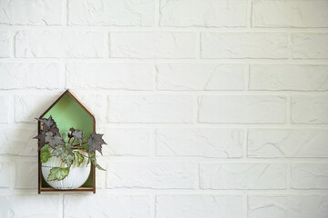 Begonia with star leaves in a round pot on a white brick wall in the interior. Houseplant Growing and caring for indoor plant, green home. Minimalism, copy spaсe