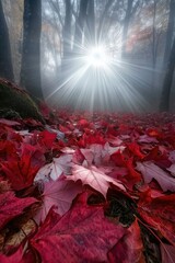 Fototapeta premium Red Leaf Forest