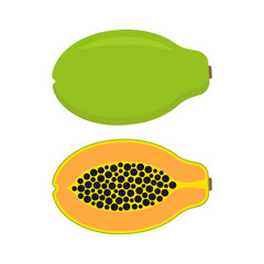 Papaya fruit. Color vector illustration of tropical fruit in cartoon flat style. Isolated on white background.	