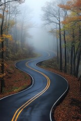 Fototapeta premium Winding Road Through Forest