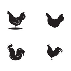 Rooster isolated logo icon vector illustration template design