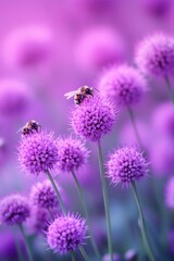 Purple Flowers with Bees