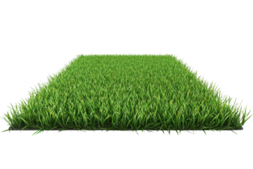 Lush green grass background for graphics png transparent white nature scene vibrant high-quality environment