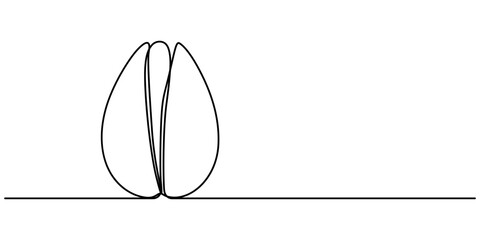 One Continuous Line Drawing of Peanut Icon. Single Line Vector Illustration, Tasty Pistachio Drawing, Organic pistachios in the sun, Healthy food and snack background, pistachio continuous one line 