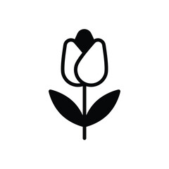 Flower Vector icon