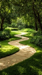 Winding path through lush green forest tranquil nature scene scenic landscape