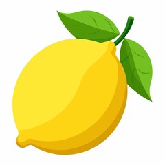 A lemon illustration on white background