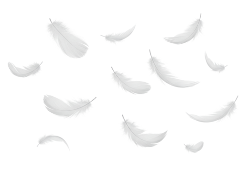 Isolated Falling White Feathers on a Clean White Background