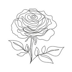 Rose drawing in linart style on white background. Delicate flower drawn with one line. Lush rose in style of minimalism design element.